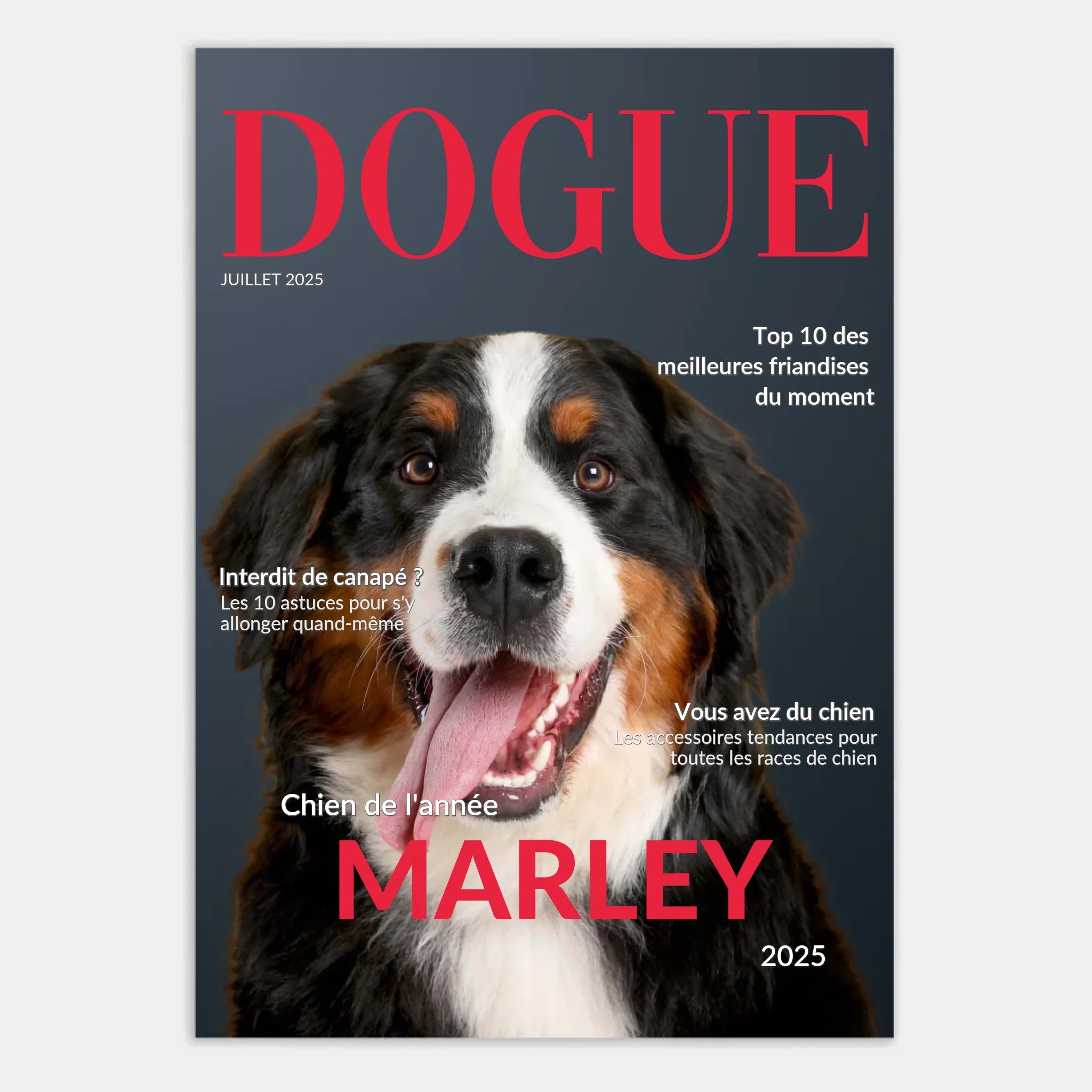 Affiche personnalisée cadeau