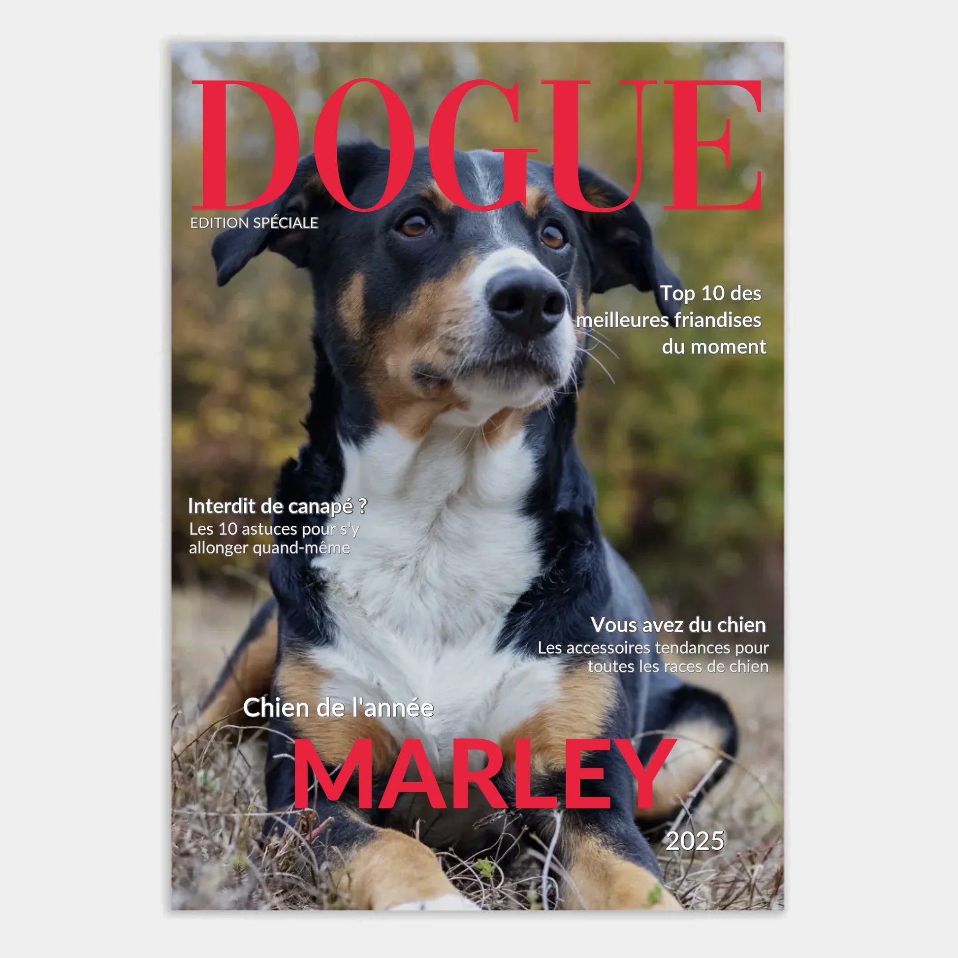 Affiche personnalisée cadeau